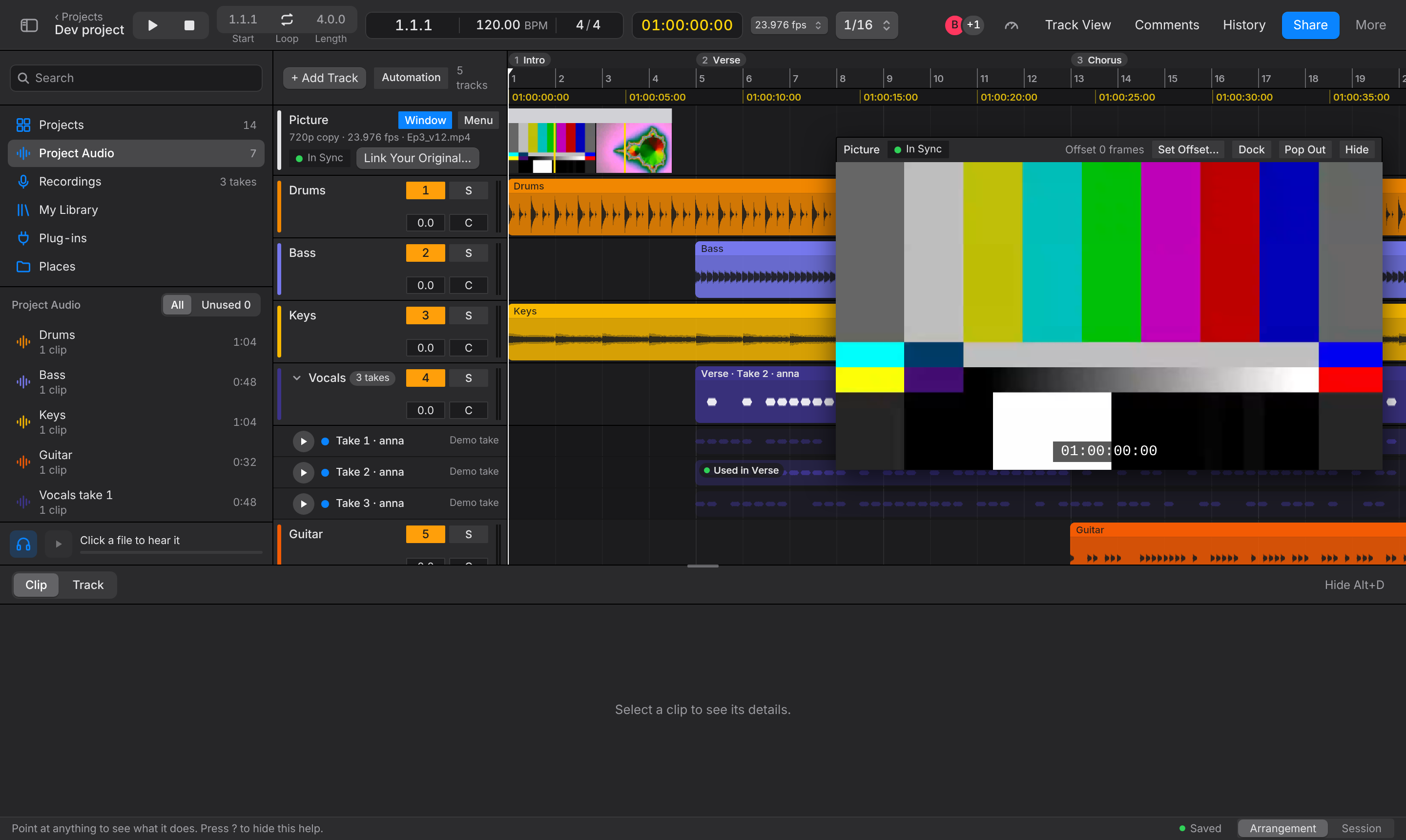 A collaborator playing the shared copy