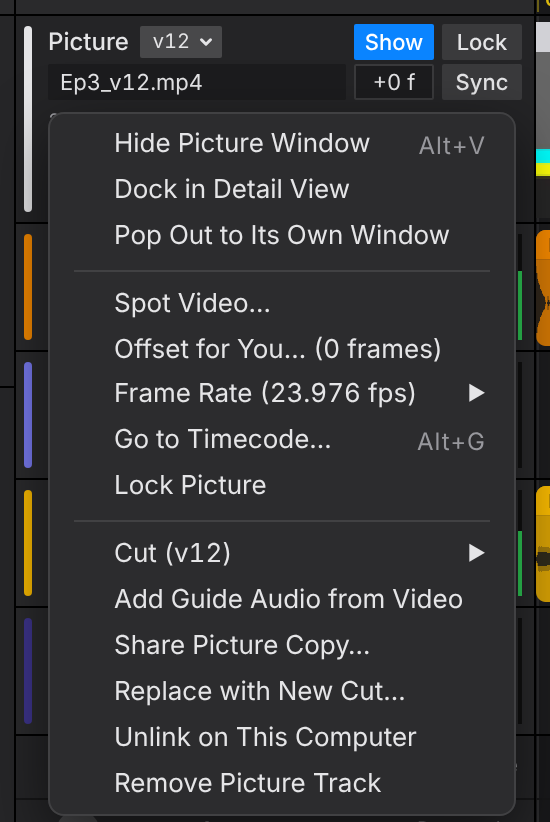 The picture track's menu
