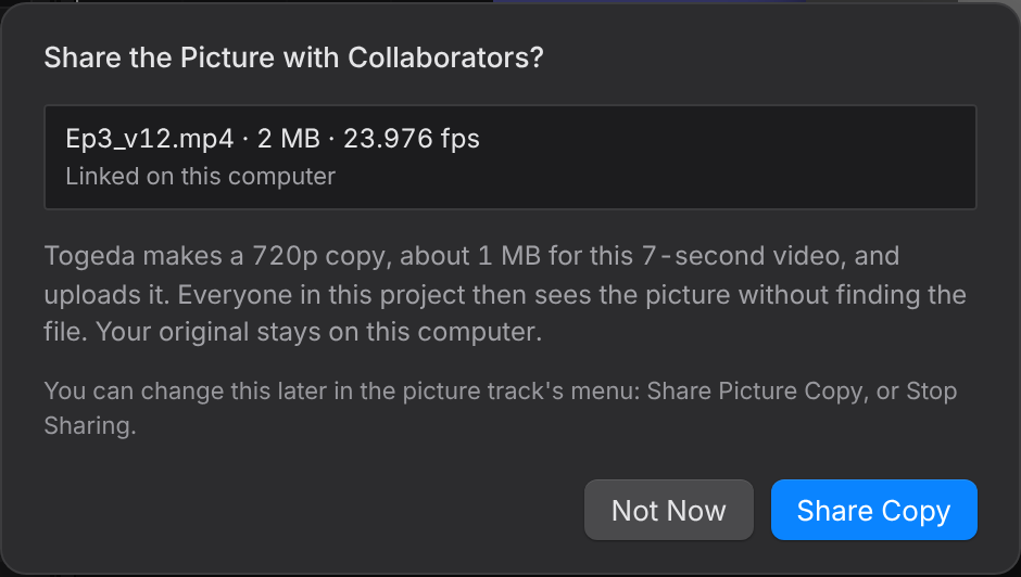 Share the Picture with Collaborators?